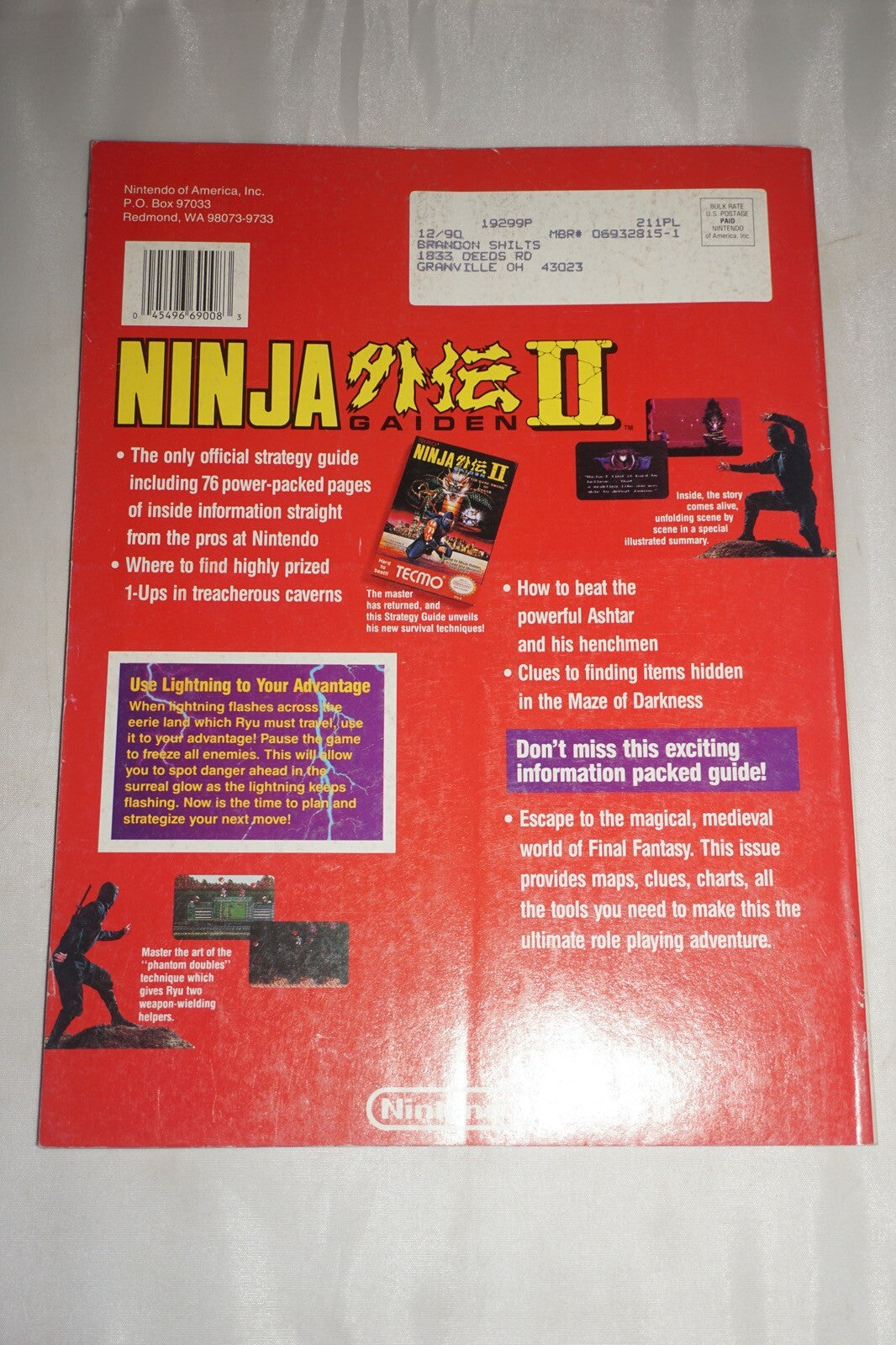 Sg2/Np15 Ninja Gaiden II 2 15 Nintendo Power Magazine #1 Poster