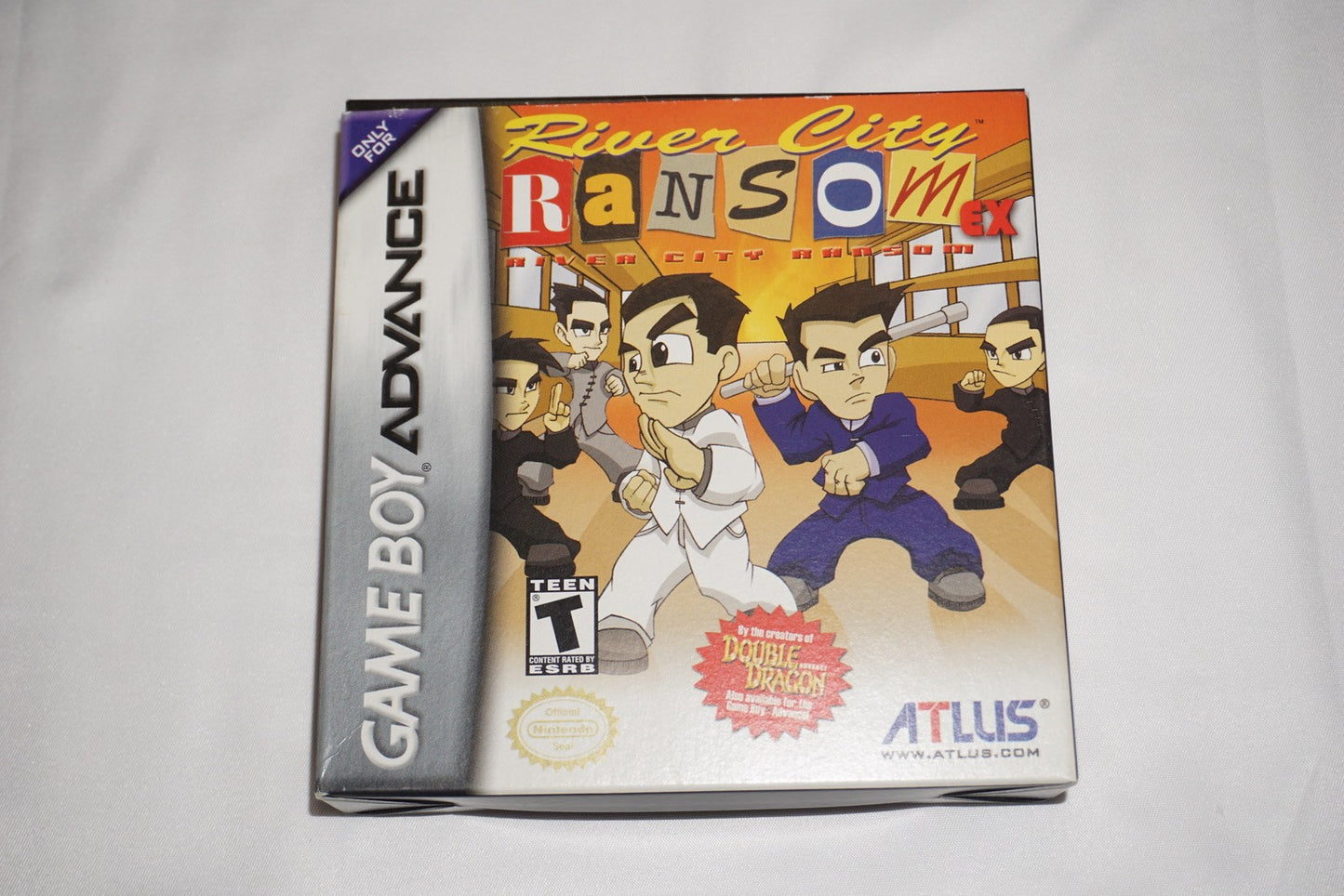 River City Ransom (Game Boy Advance GBA) Complete in Box w/ Reg CIB