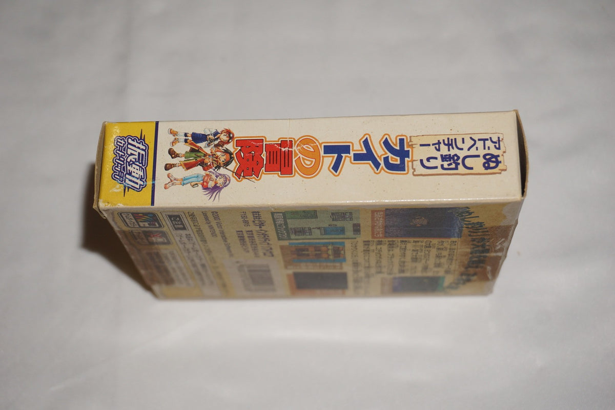 Kaito No Boken Nushitsuri Adventure (Game Boy Color GameBoy) Complete CIB Japan