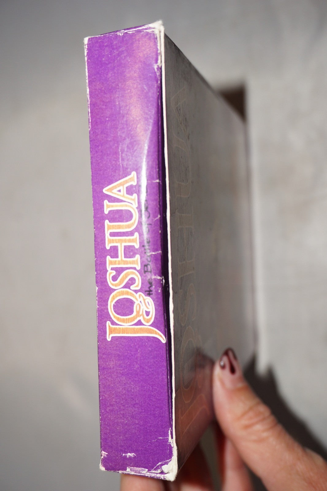 Joshua: The Battle of Jericho (Sega Genesis) Complete in Box CIB