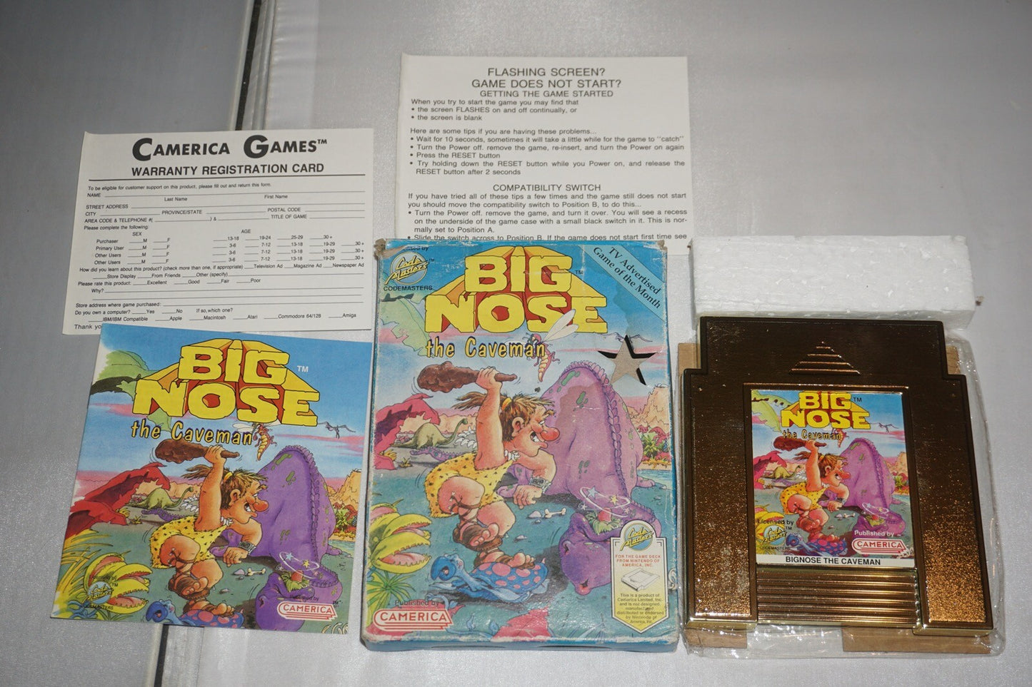 Big Nose The Caveman (Nintendo NES) Complete in Box w/ Reg CIB