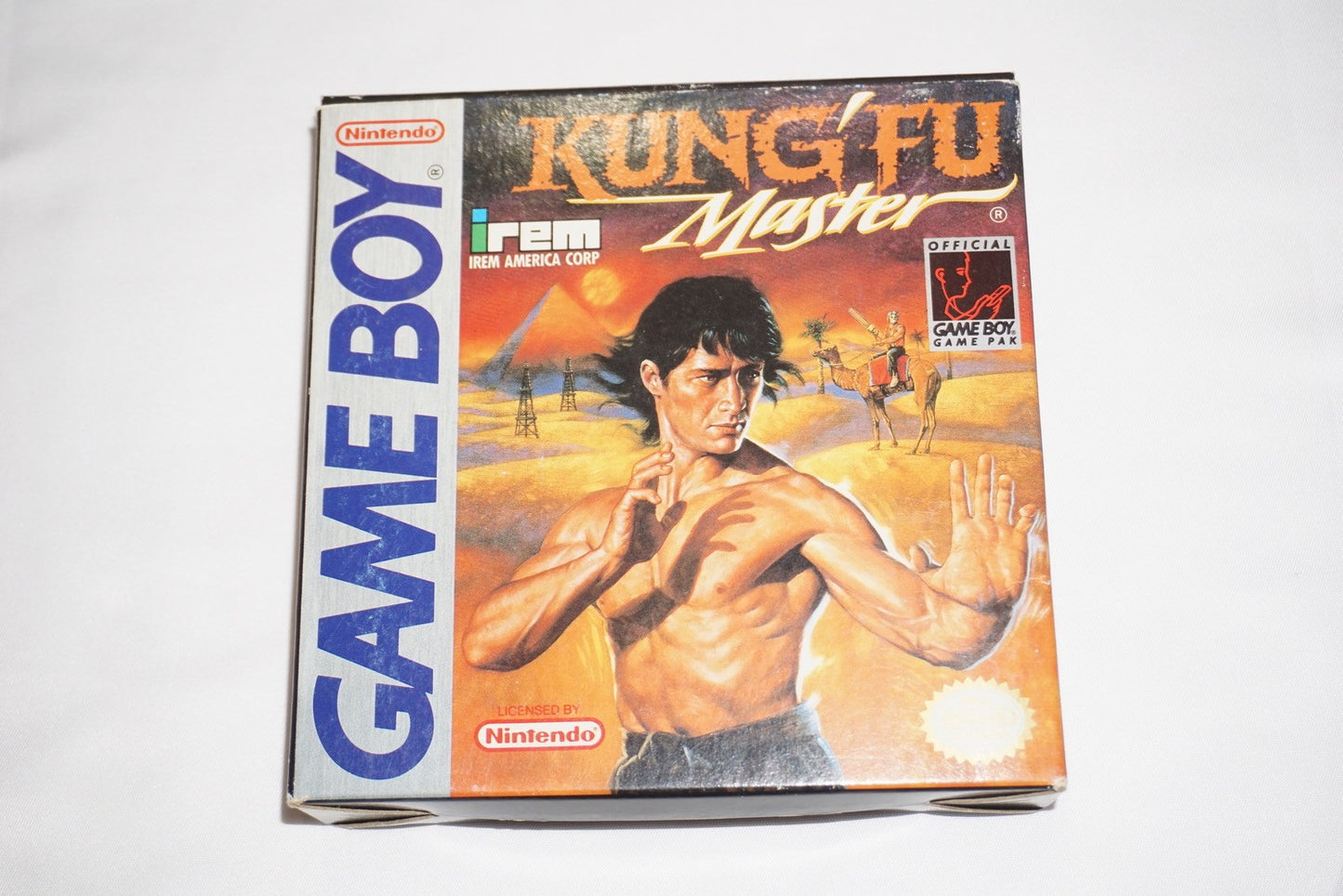 Kung Fu Master (Nintendo Game Boy Gameboy) Complete in Box CIB