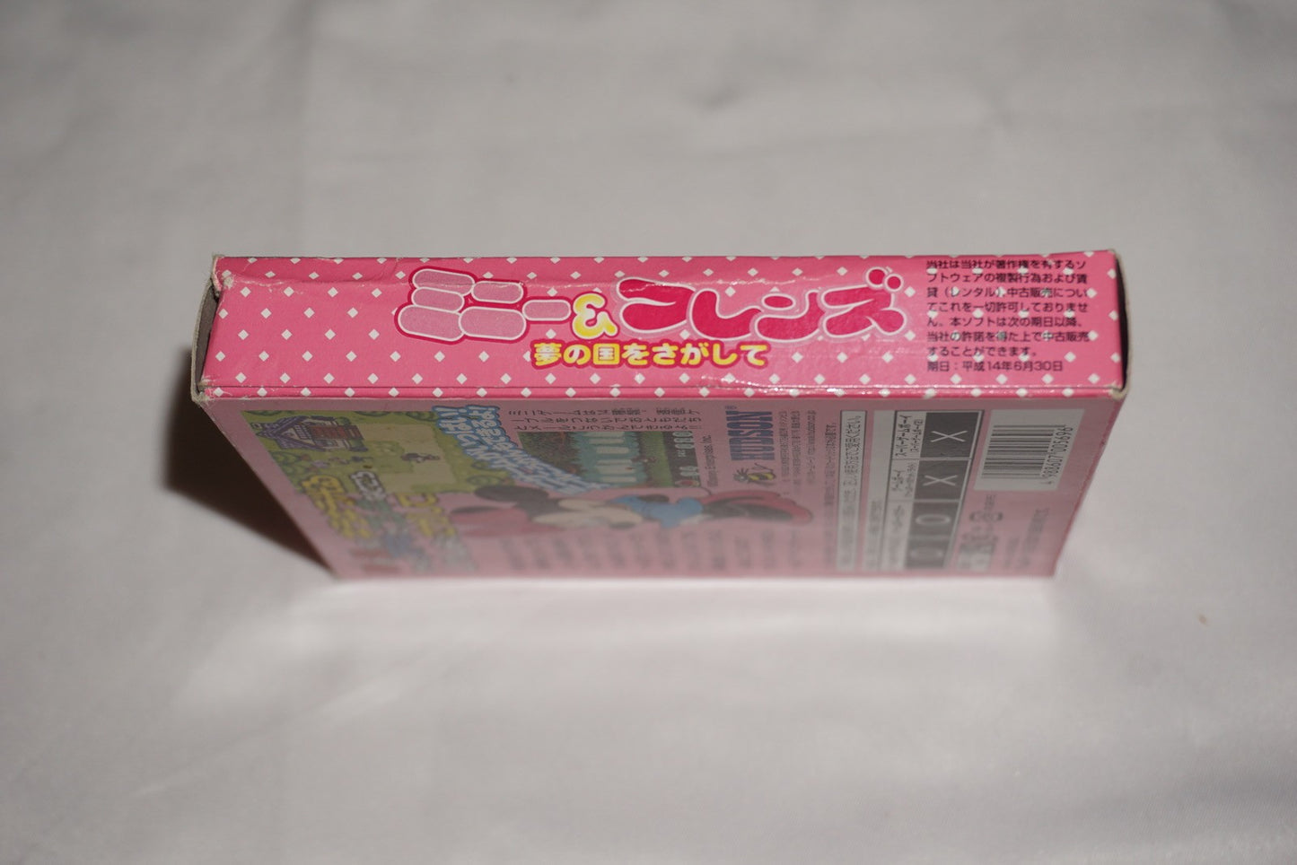 Minnie & Friends Yumenokuni (Game Boy Color GameBoy) Complete in Box CIB Japan