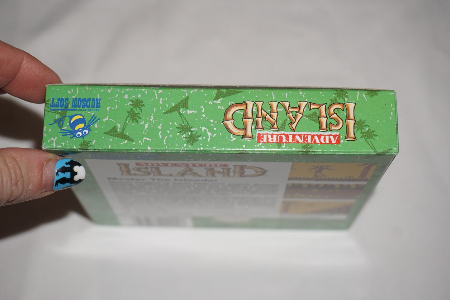 Adventure Island (Nintendo Game Boy Game Boy) Complete in Box CIB