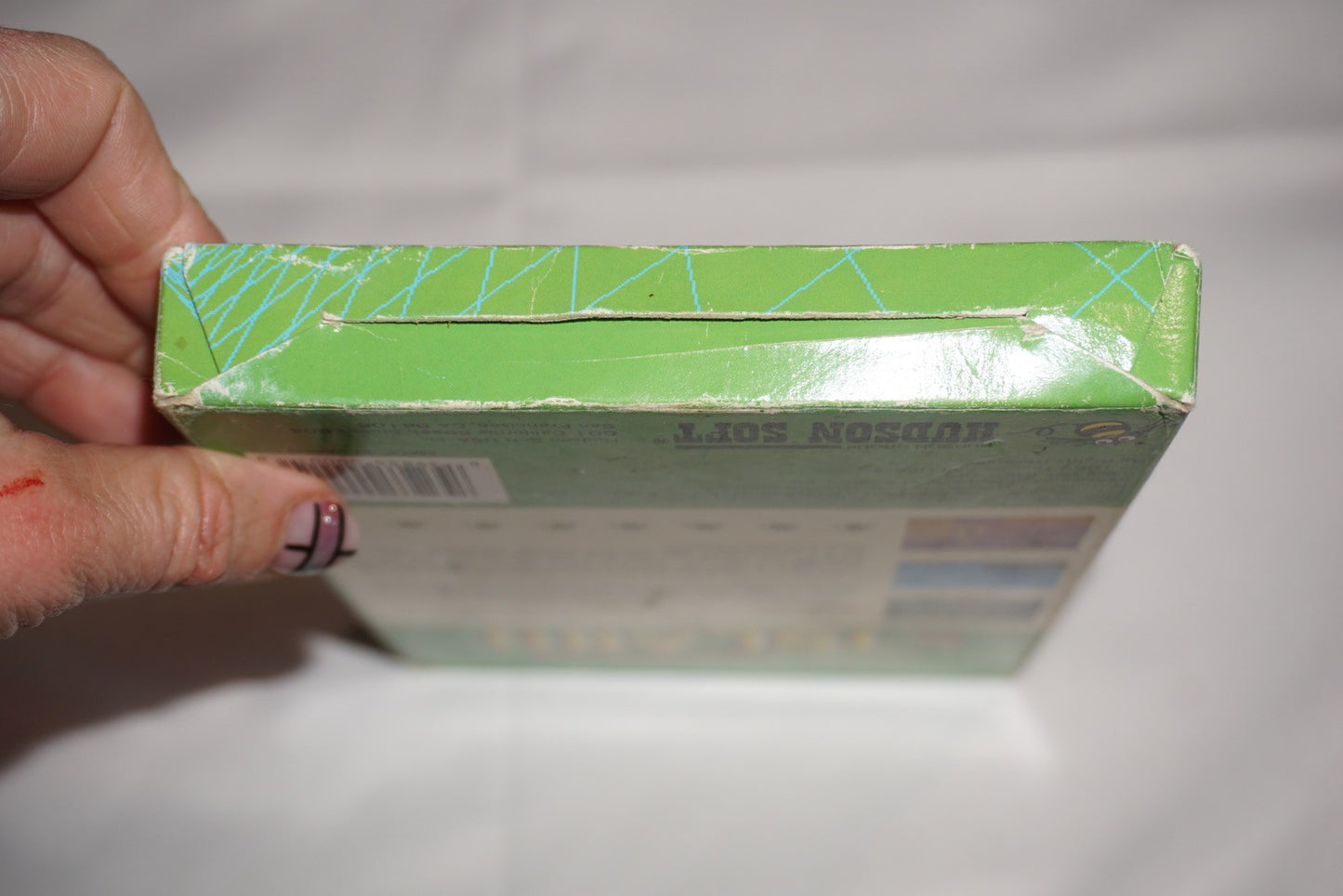 Adventure Island 1 (Nintendo NES) Complete in Box CIB