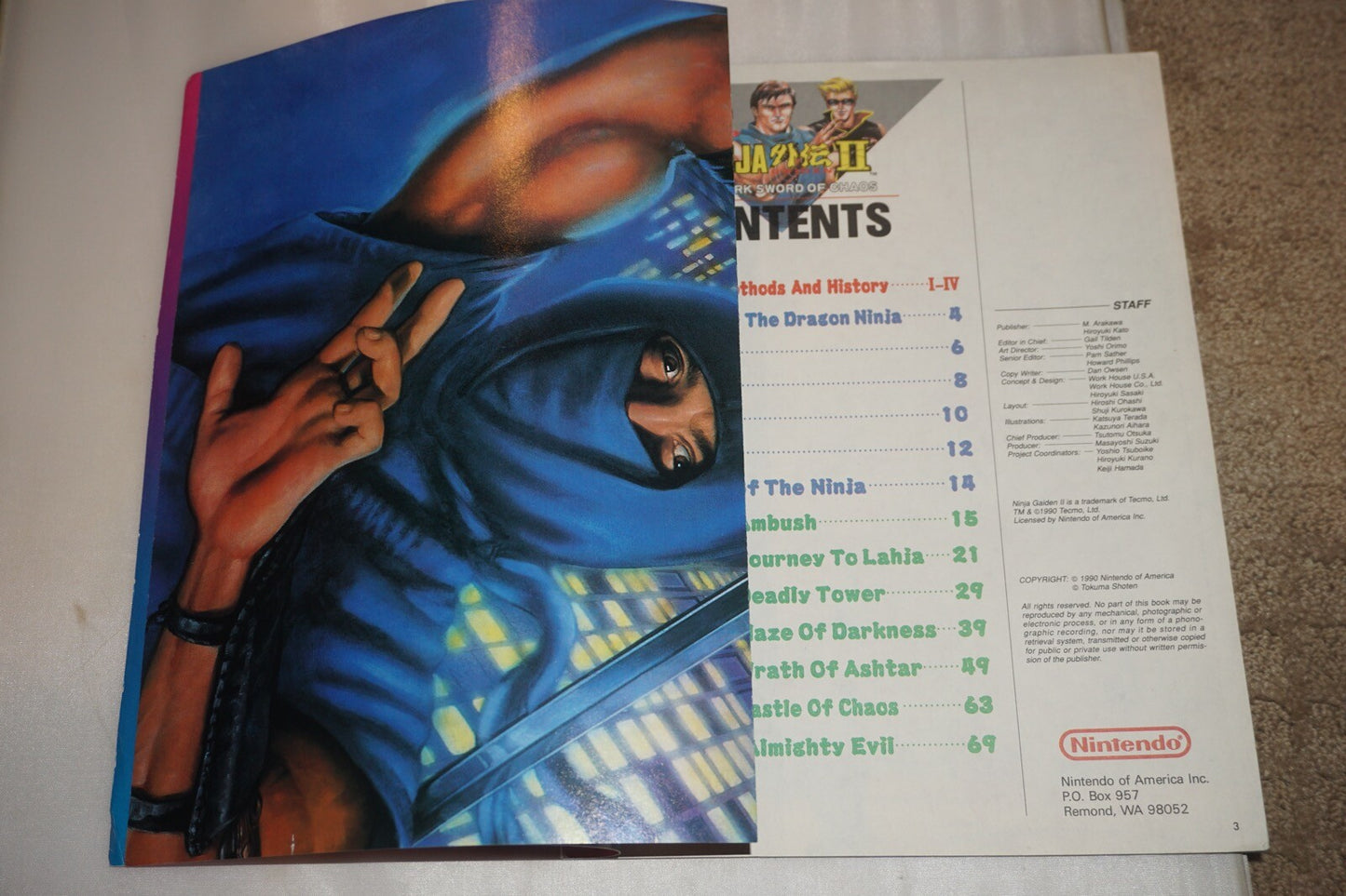 Sg2/Np15 Ninja Gaiden II 2 15 Nintendo Power Magazine #3 Poster