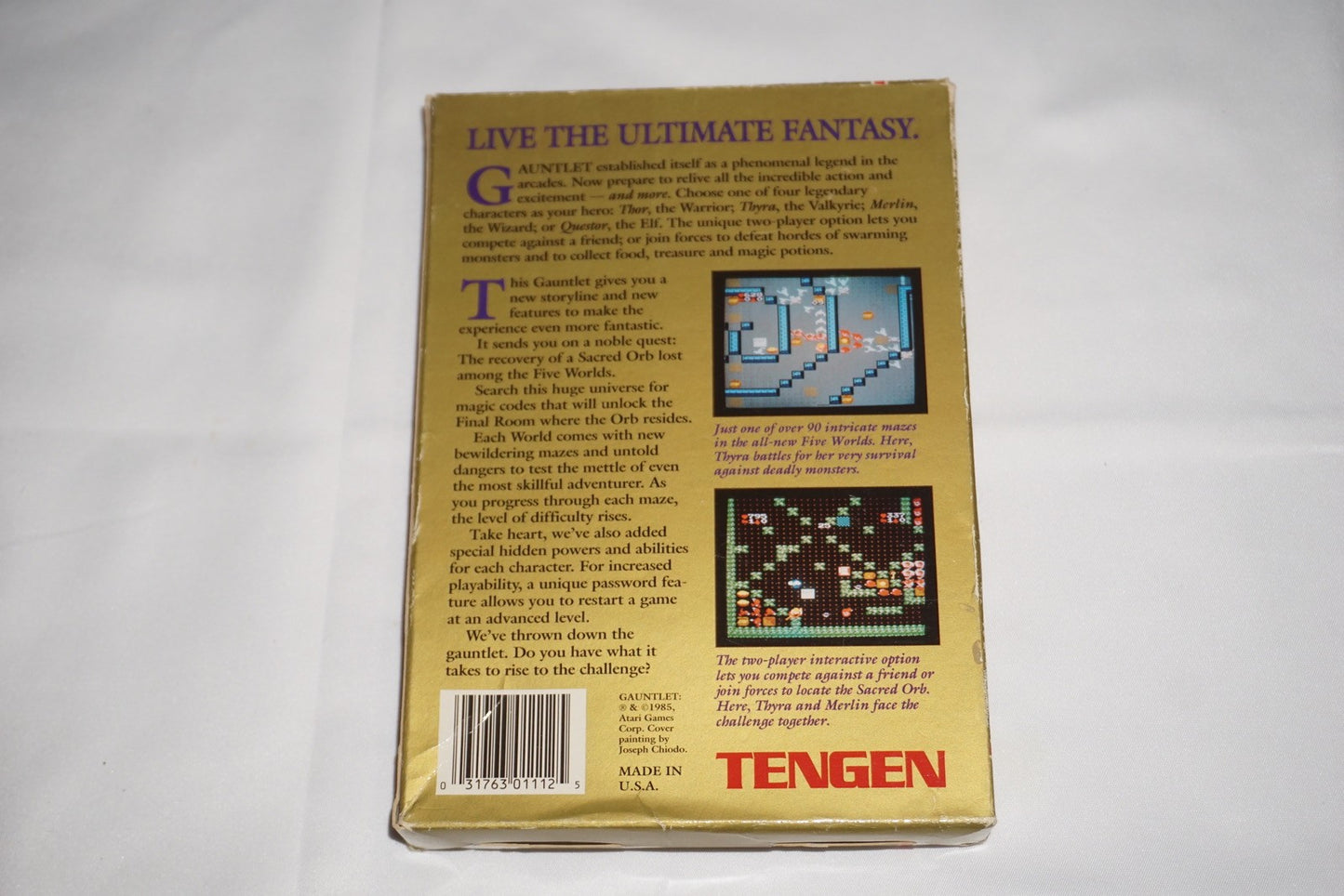 Gauntlet 1 Tengen Black  (Nintendo NES) Complete in Box w/ Poster CIB