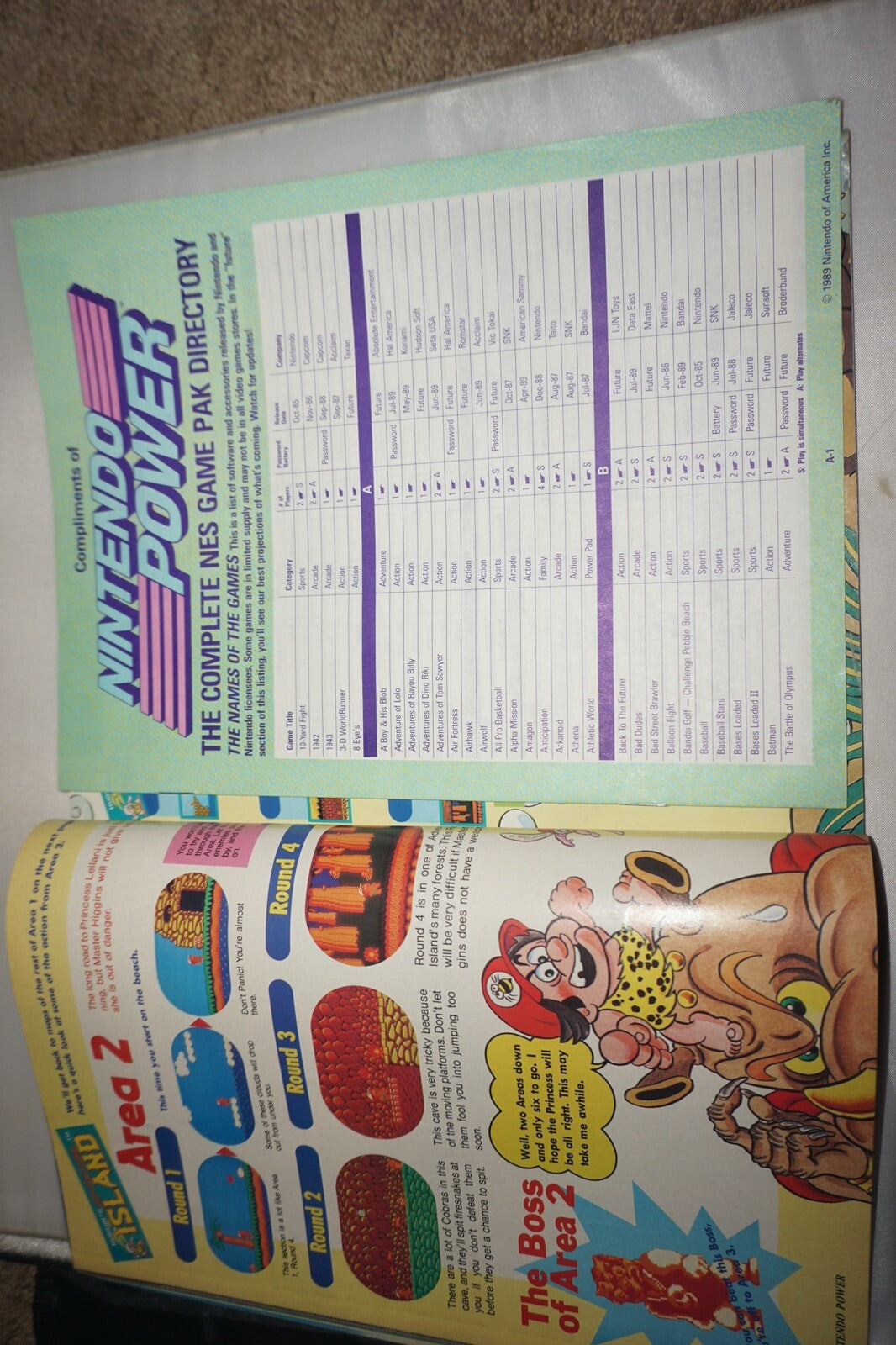 March/April 1989 Ninja Gaiden Nintendo Power Magazine #8 Poster