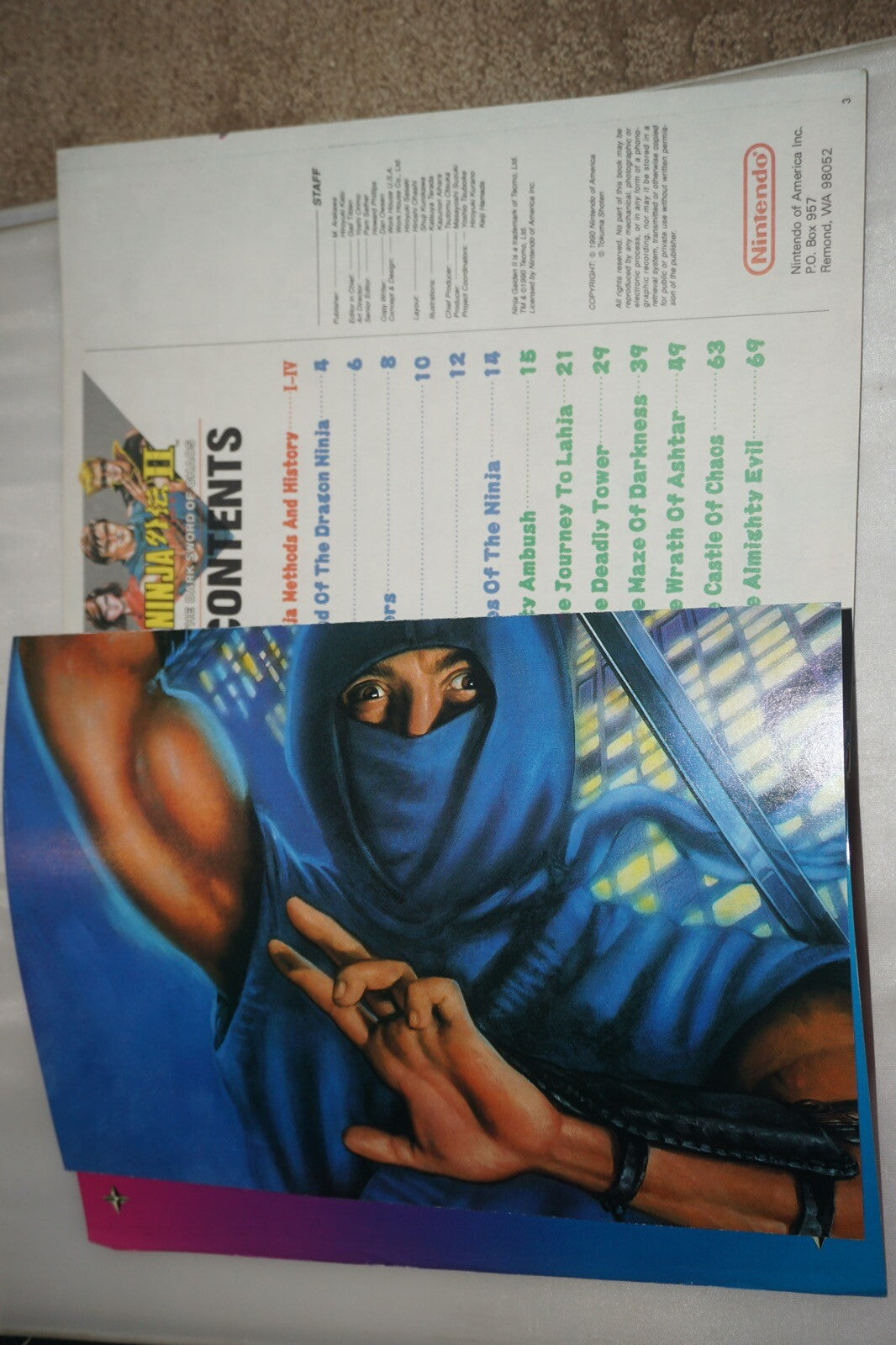 Sg2/Np15 Ninja Gaiden II 2 15 Nintendo Power Magazine #6 Poster