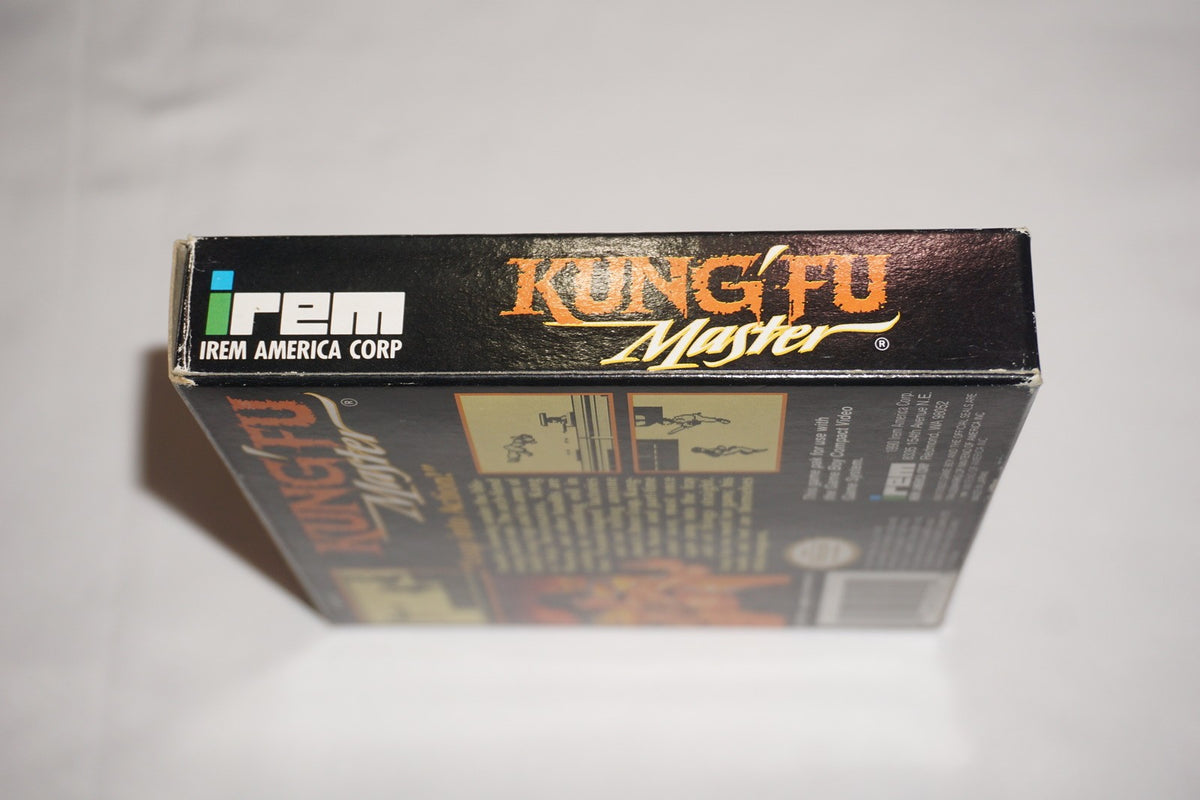 Kung Fu Master (Nintendo Game Boy Gameboy) Complete in Box CIB